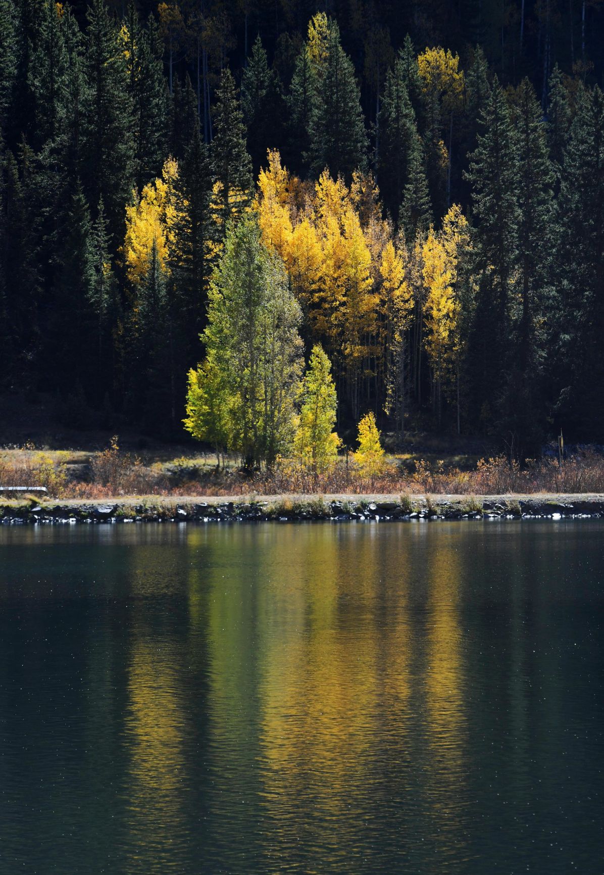 100619-news-aspens 52.JPG